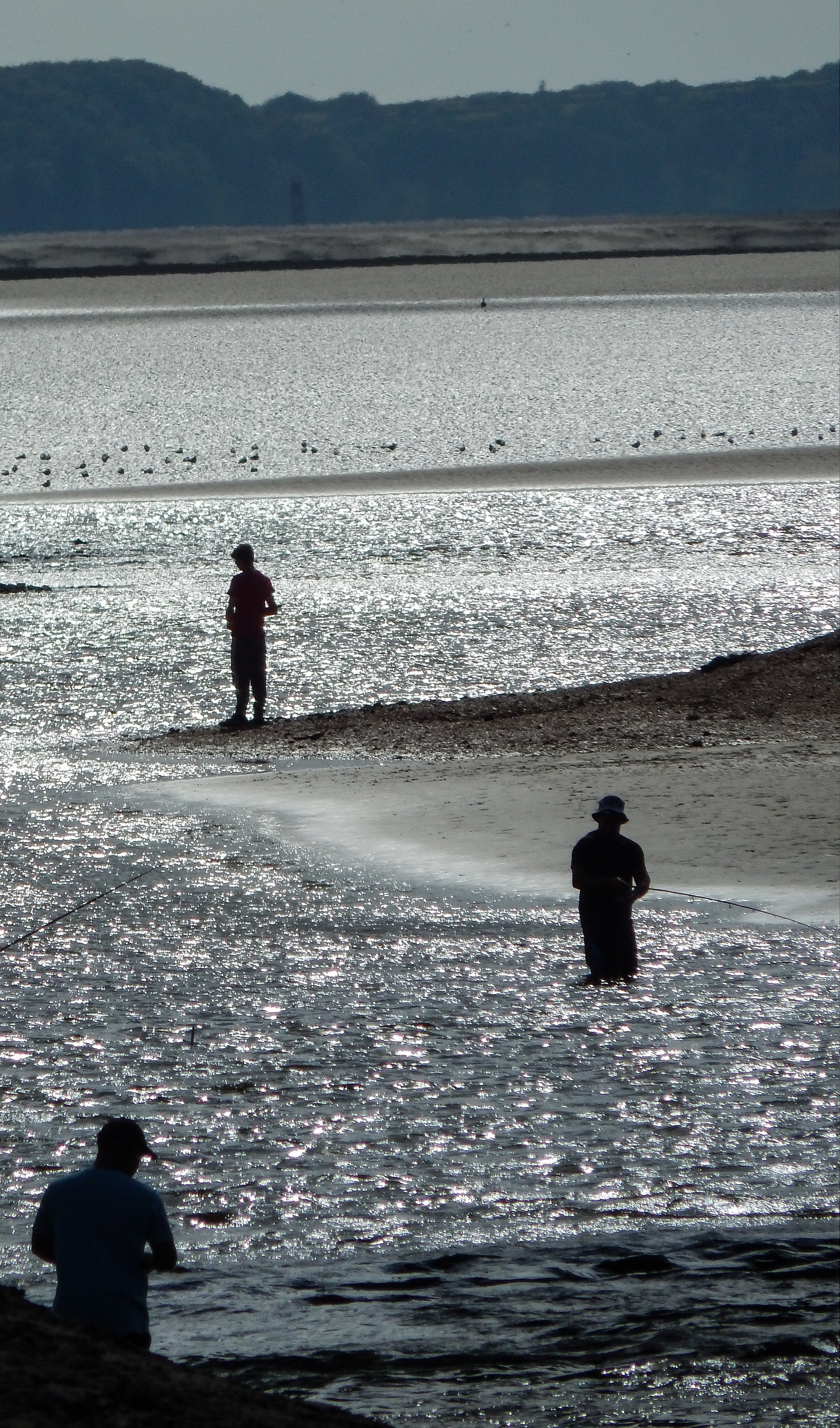 Todays Catch product image (1)