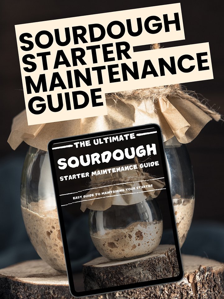 The Complete Sourdough Starter Maintenance Guide - BreadXBaker product image (1)