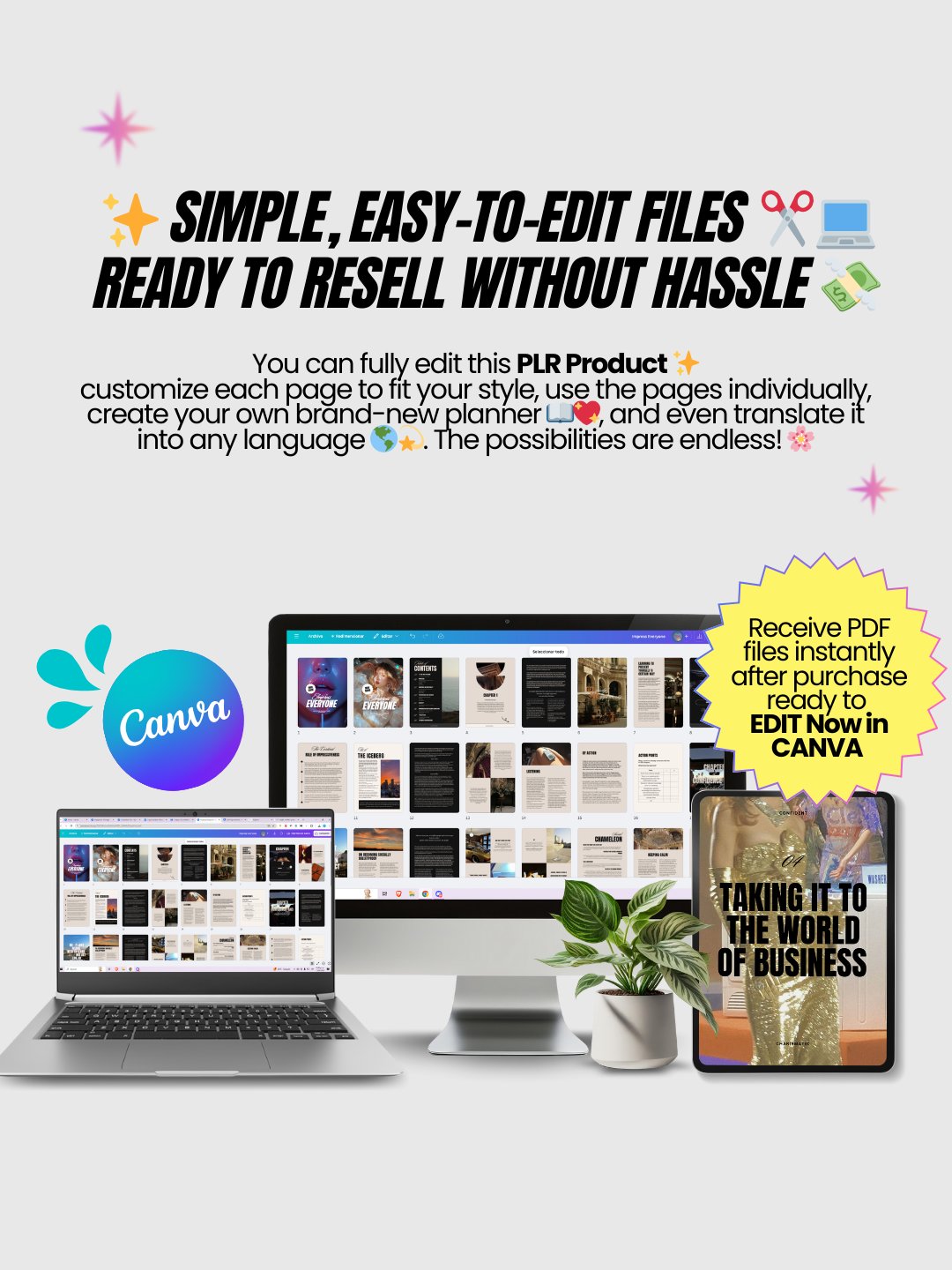 Glow up Guides | MRR PLR Bundle product image (8)