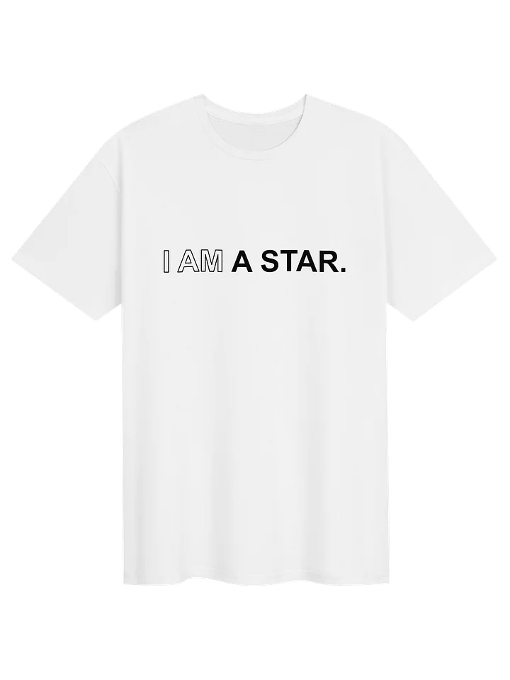 Ten Year Anniversary Gilden T-Shirt product image (1)