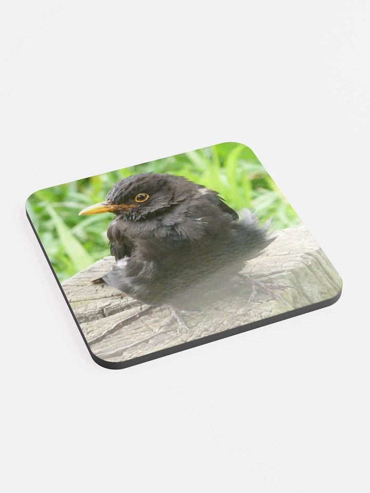 Glossed Cork Coaster - The common blackbird #2 product image (2)