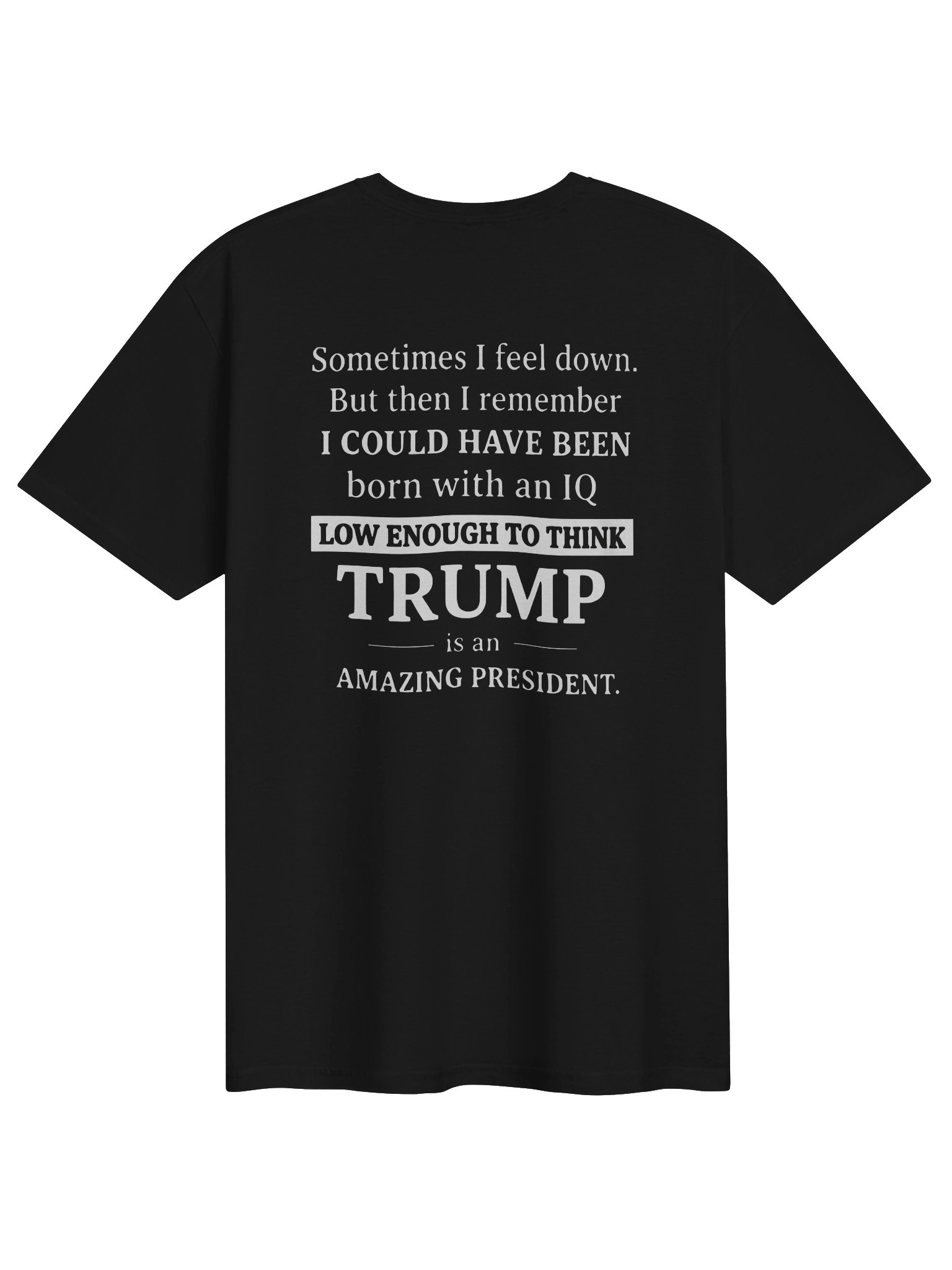 Sometimes I Feel Down I Could Have Been Trump Shirt product image (1)