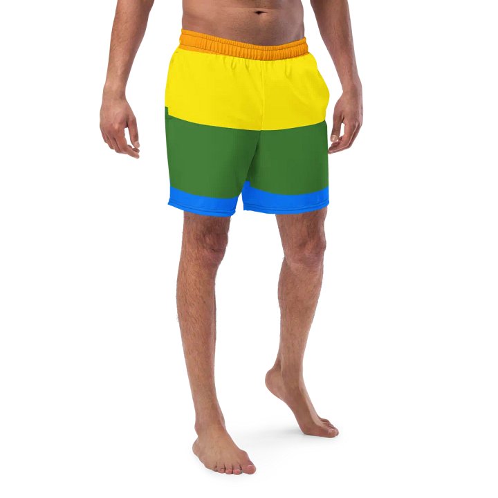 Sunset Stripes All-Over Swim Shorts product image (1)