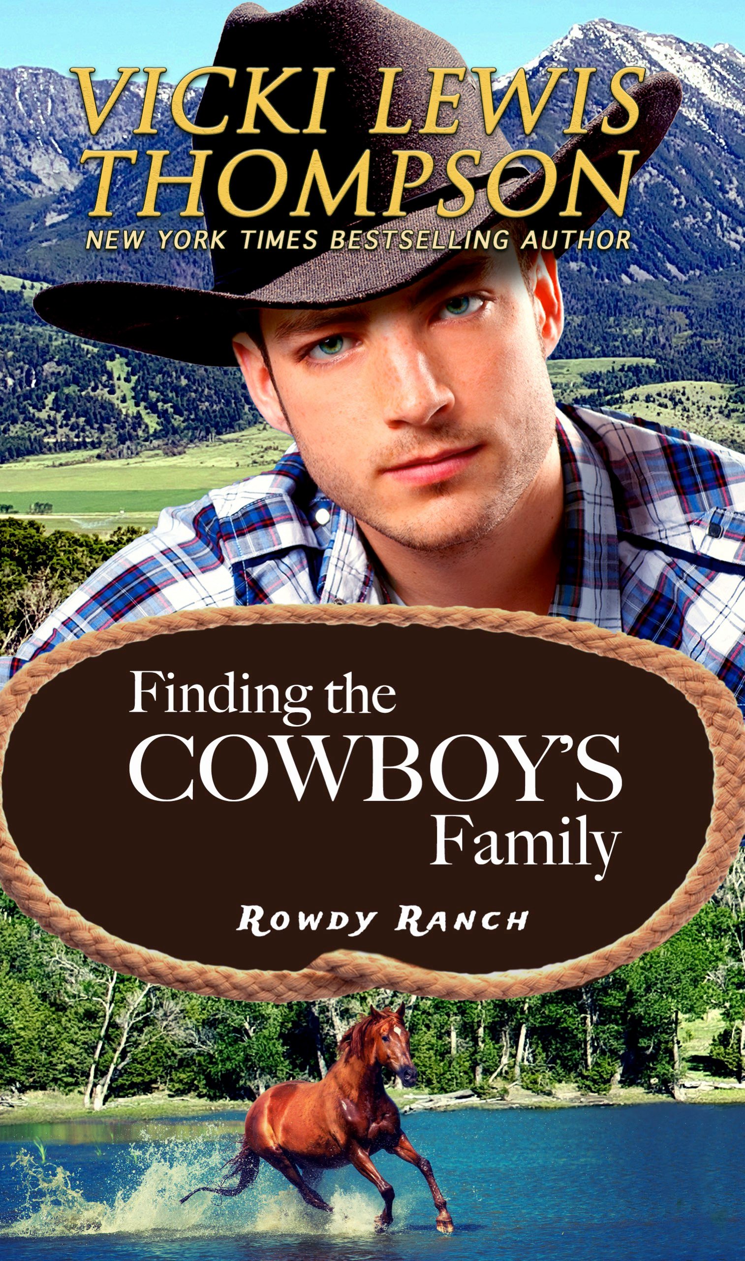 Finding the Cowboy's Family product image (1)