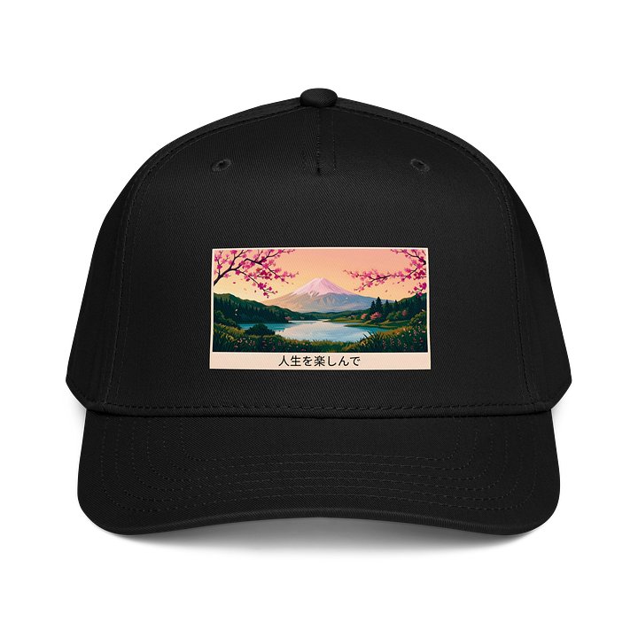 𝓝𝓲𝓰𝓱𝓽𝓓𝓻𝓮𝓪𝓶 ✕ Fuji 富士山 "Living Color" B-Ball cap - Standard product image (2)