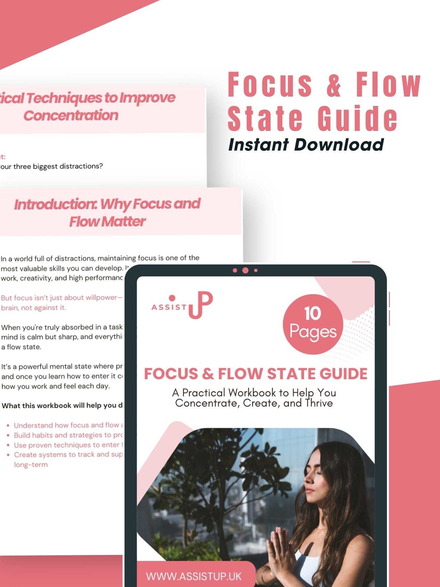 Focus and Flow State Workbook product image (2)