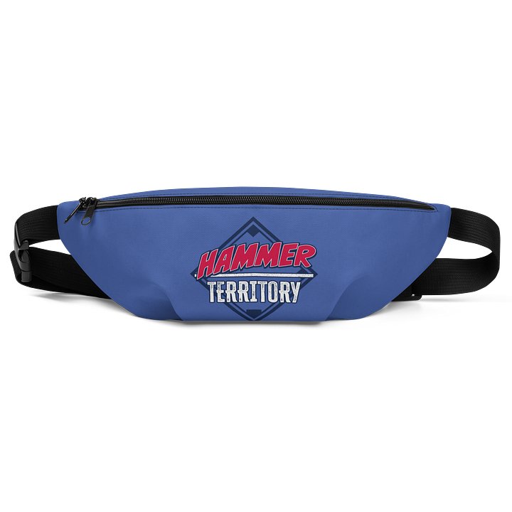 Fanny Pack product image (1)