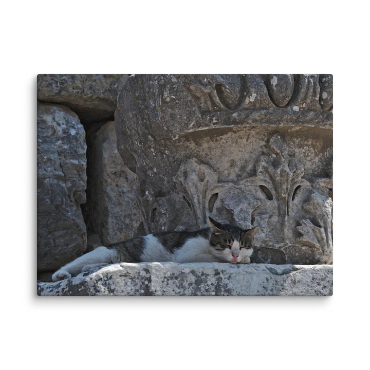 Sleeping Cat (Canvas) product image (3)