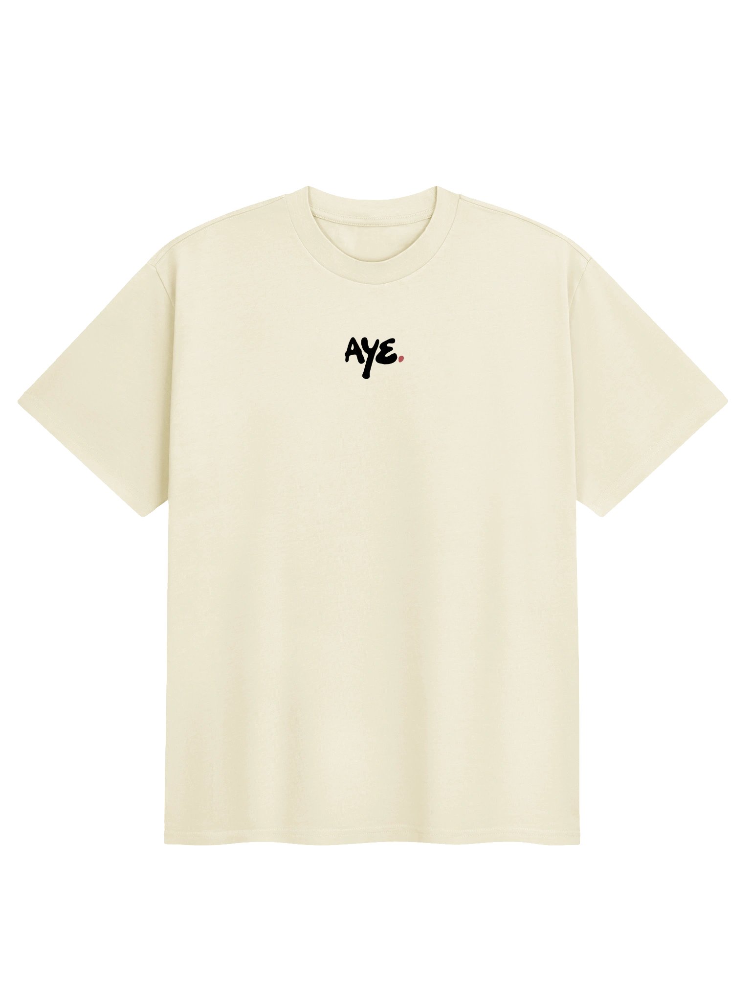 The Aye Oversized Tee (in the Light) product image (2)