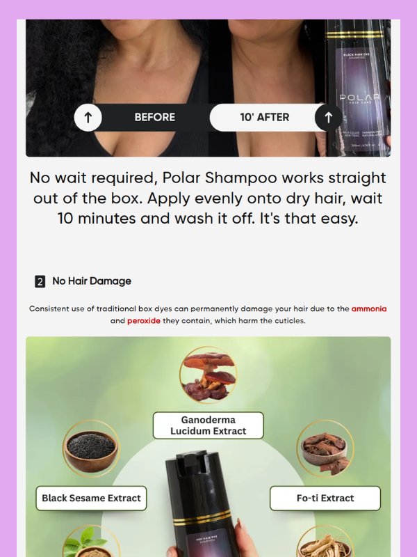 HairRevive Story – Gray Hair Solution Template product image (2)