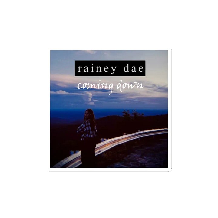 rainey dae Coming Down Die-Cut Magnets product image (2)