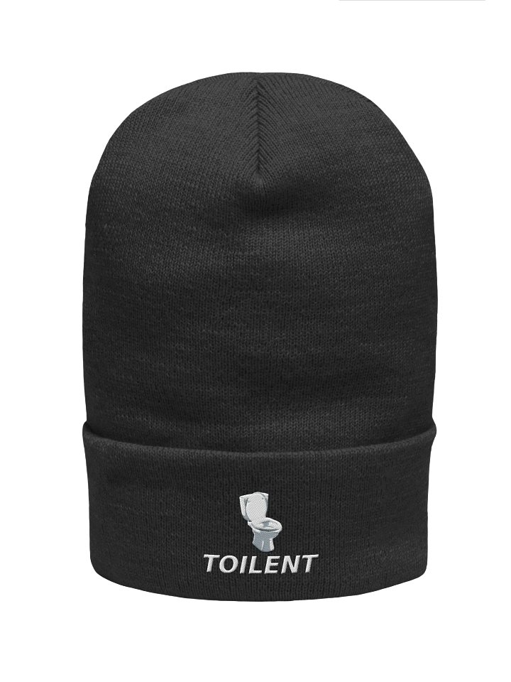 toilent beanie product image (1)