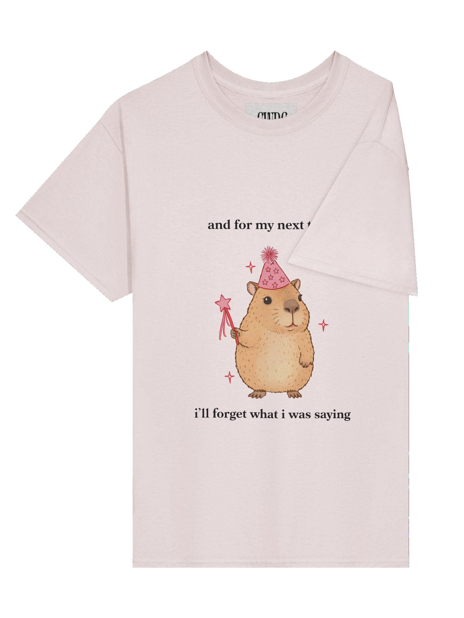 Magic Cabybara product image (3)