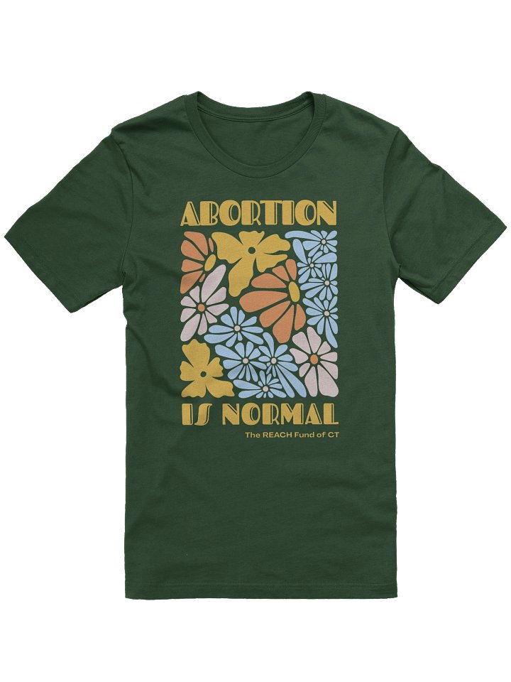 Abortion is Normal product image (1)