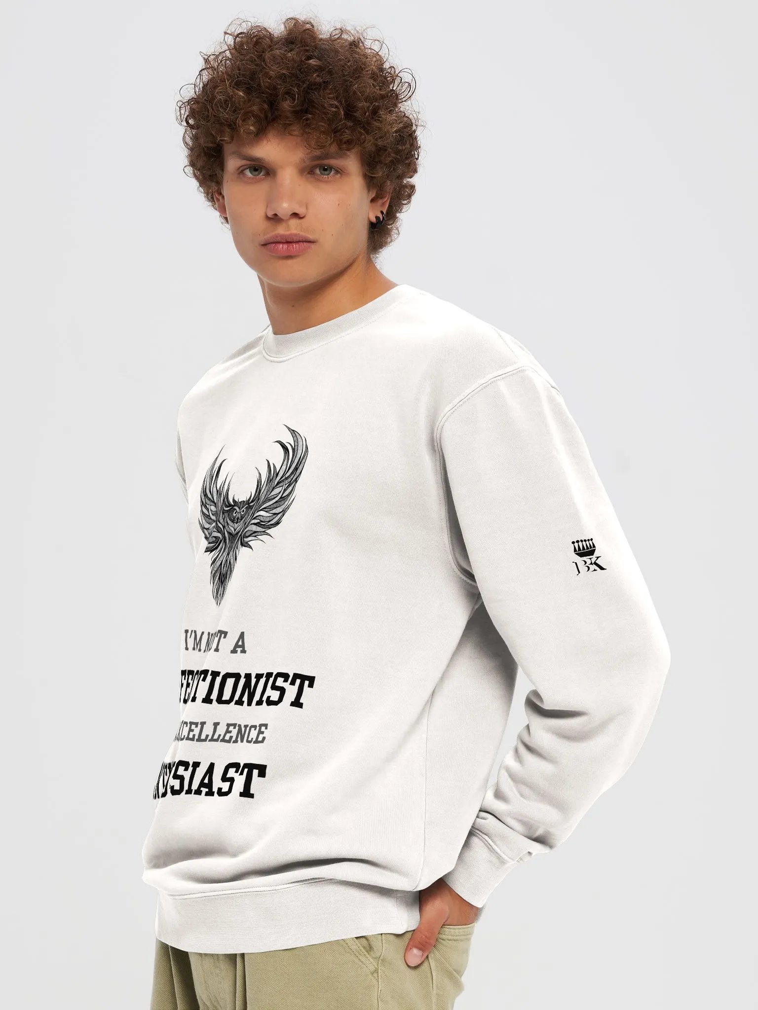 I'm not a perfectionist, I'm an excellence enthusiast Regular Fit Sweatshirt product image (5)