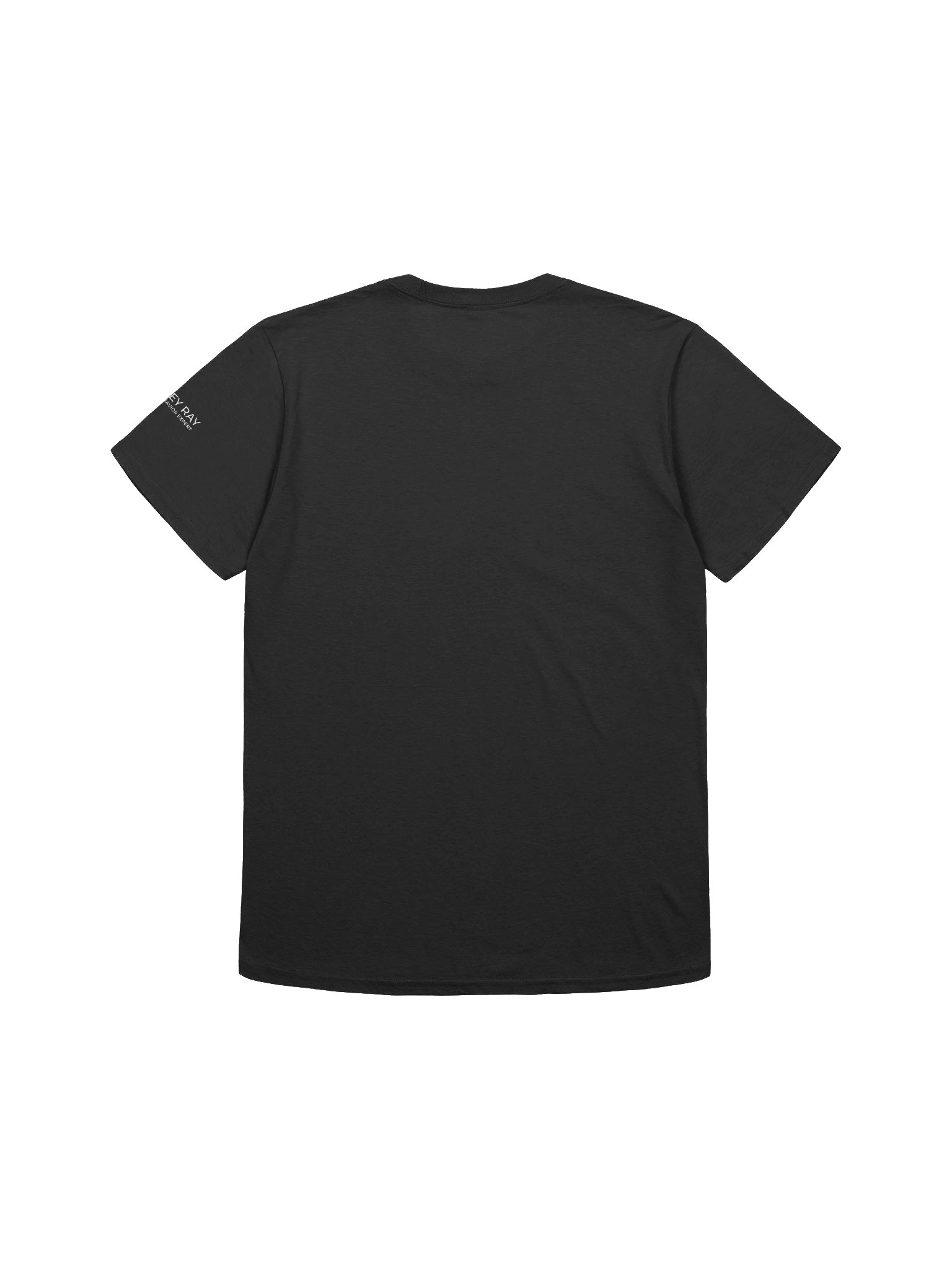 Train the Relationship. The Behavior Follows. Tee product image (9)