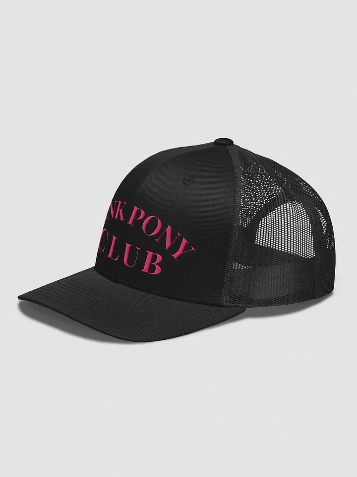 Pink Pony Club Hat. product image (10)