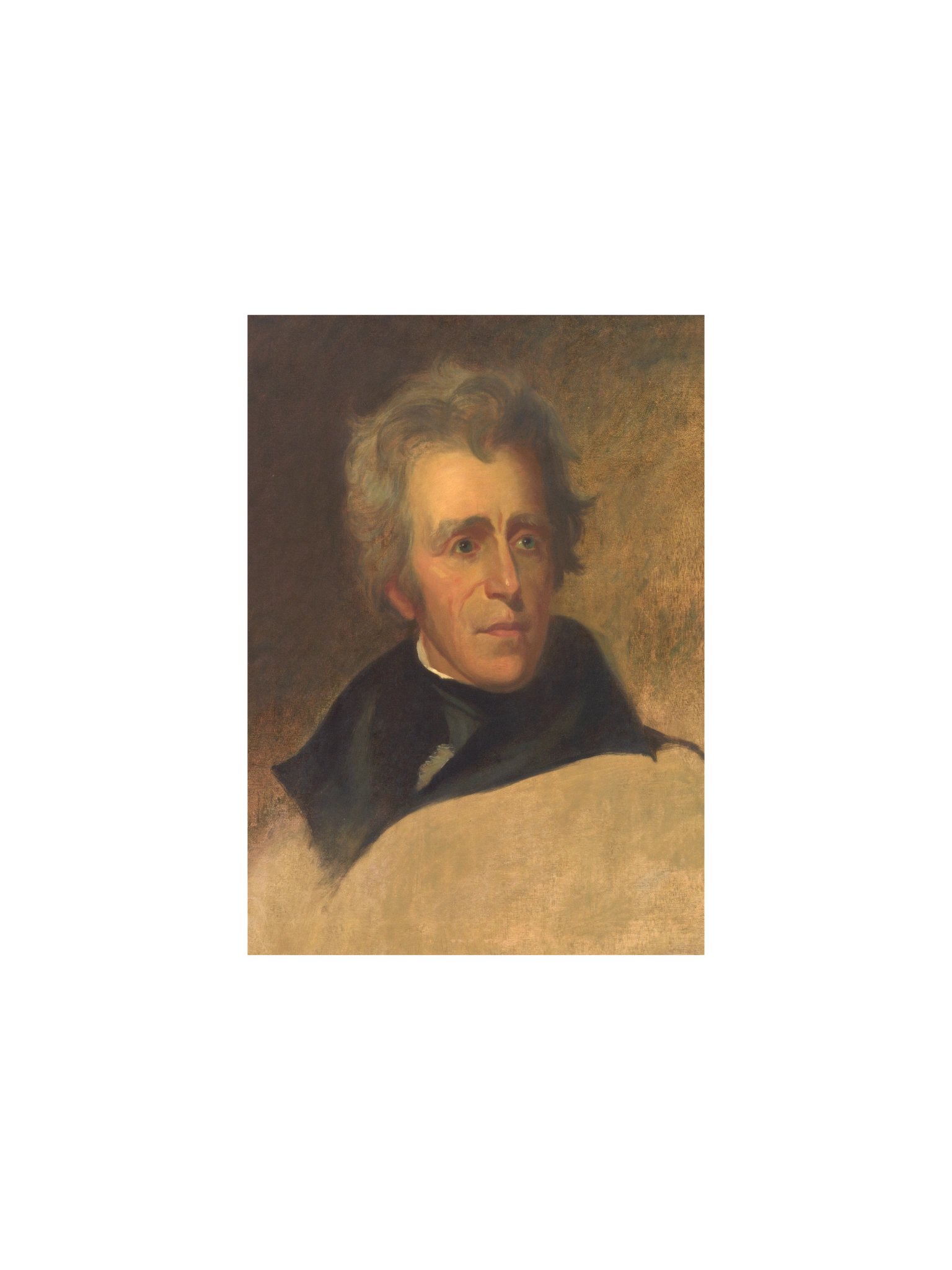 Andrew Jackson Portrait product image (3)