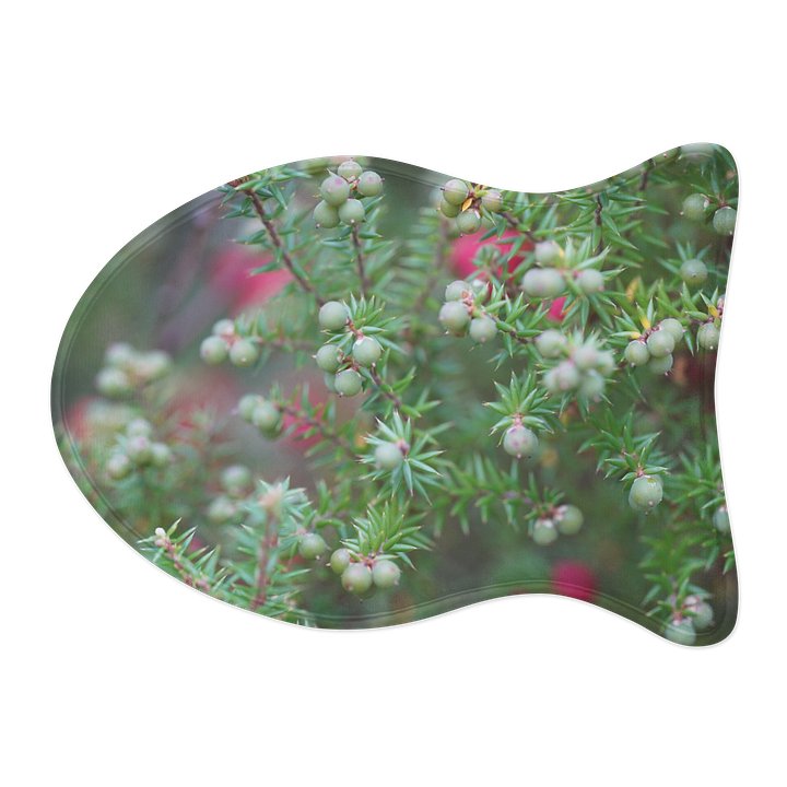 Plant with Berries Pet Feeding Mats product image (2)