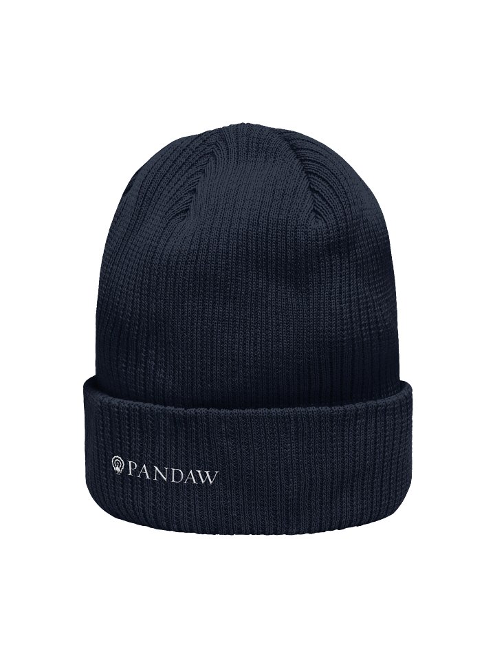 Beanie product image (2)