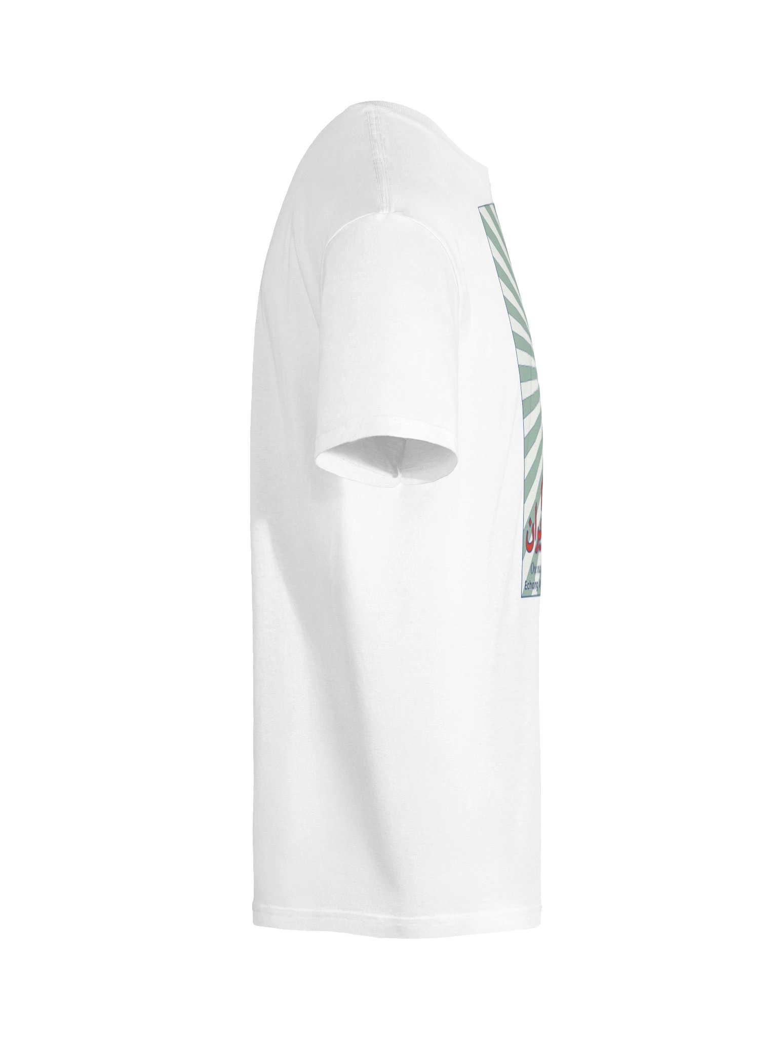 Above All, Iran III (Jânam fadâye Irân) product image (16)