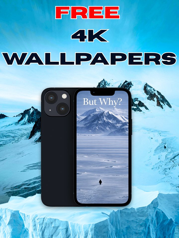 But Why Penguin Wallpaper | 4K & iPhone Backgrounds | Nihilist Meme product image (1)