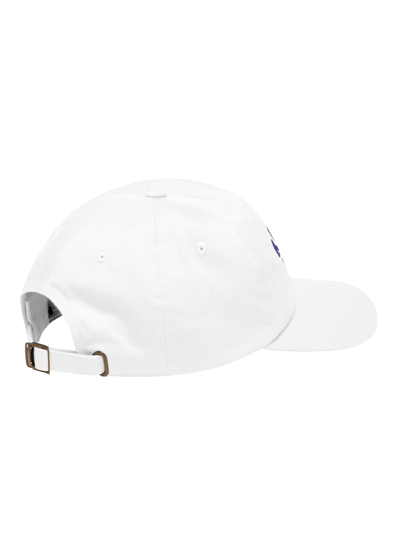 ACA Ballcap product image (4)