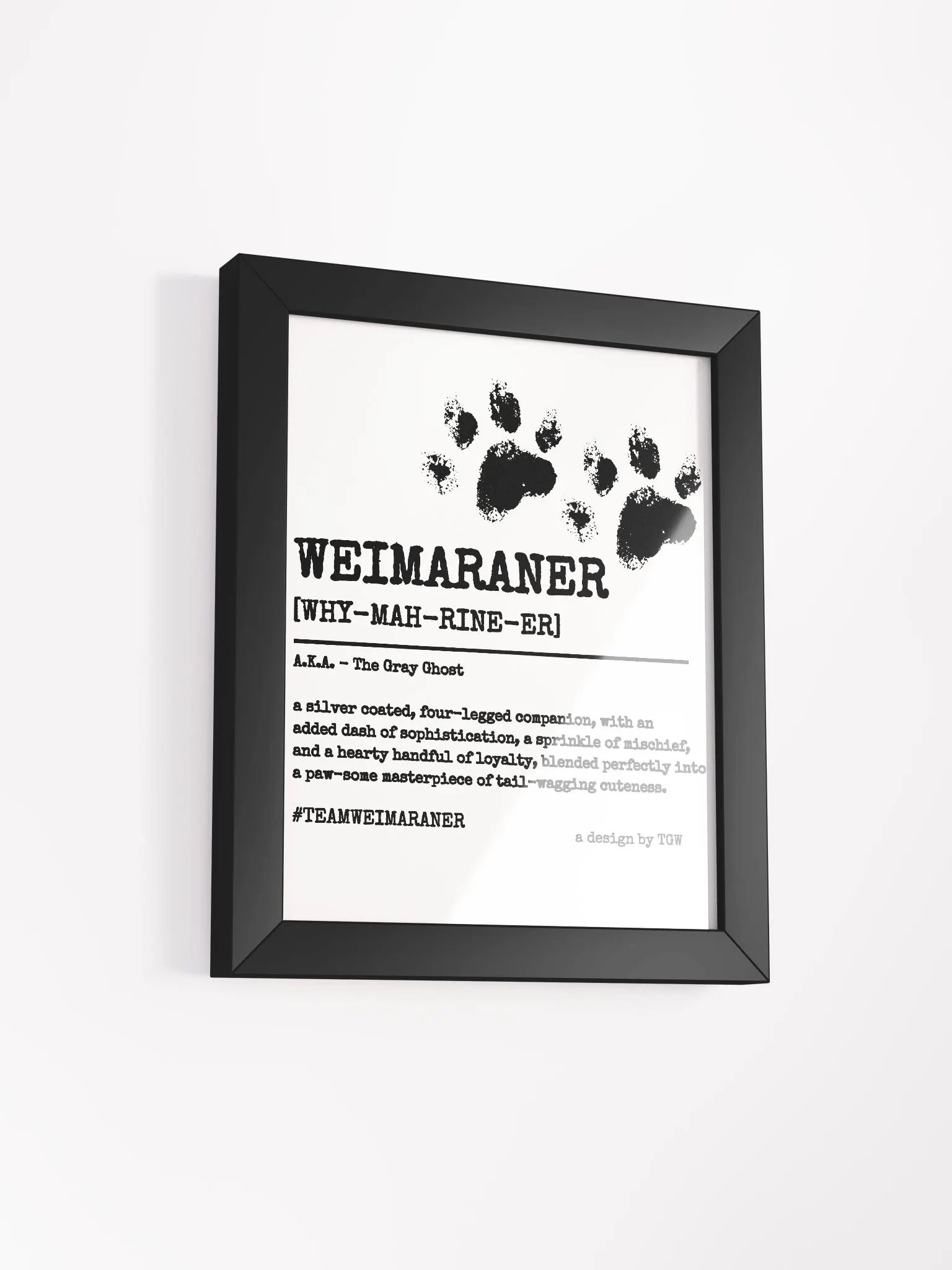 Definition of Weimaraner V2 - Framed Print product image (12)