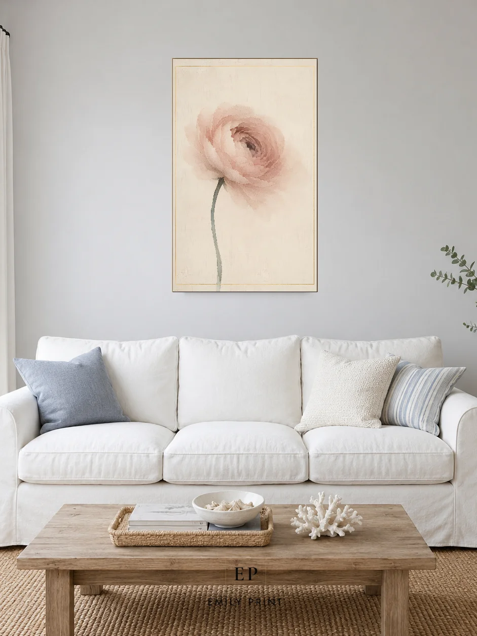 Pale Ranunculus product image (6)
