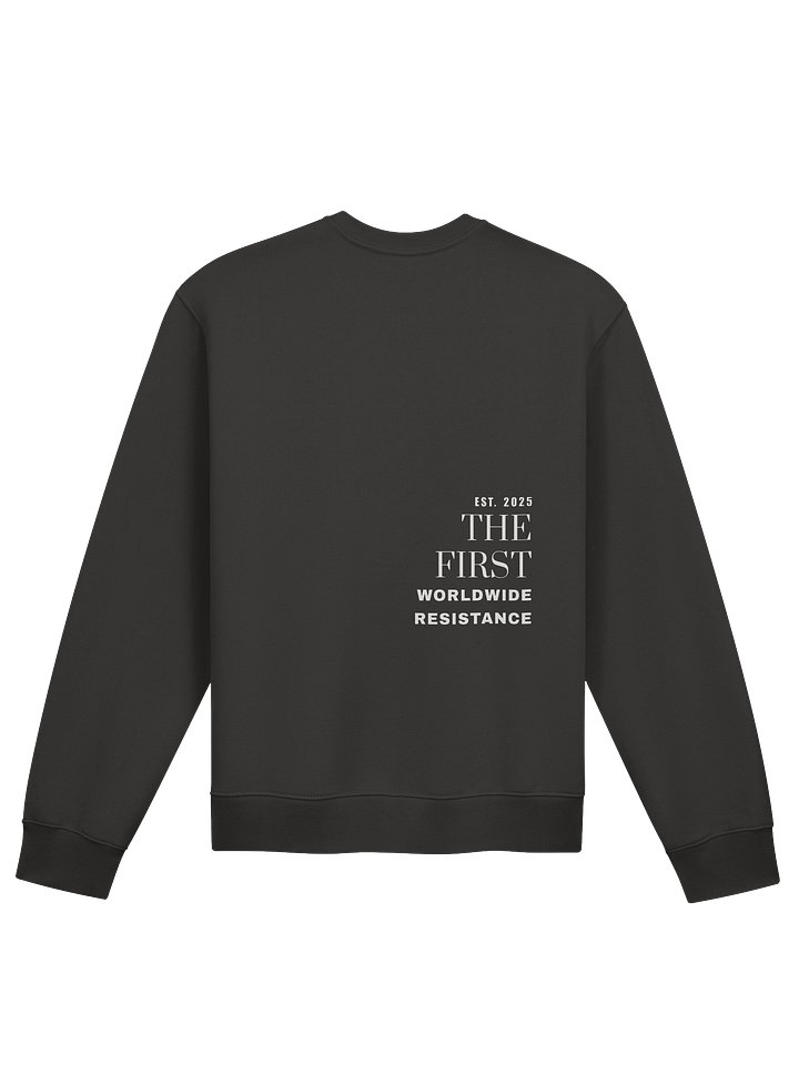 F. ICE!!! RELAXED OVERSIZED SWEATSHIRT product image (2)