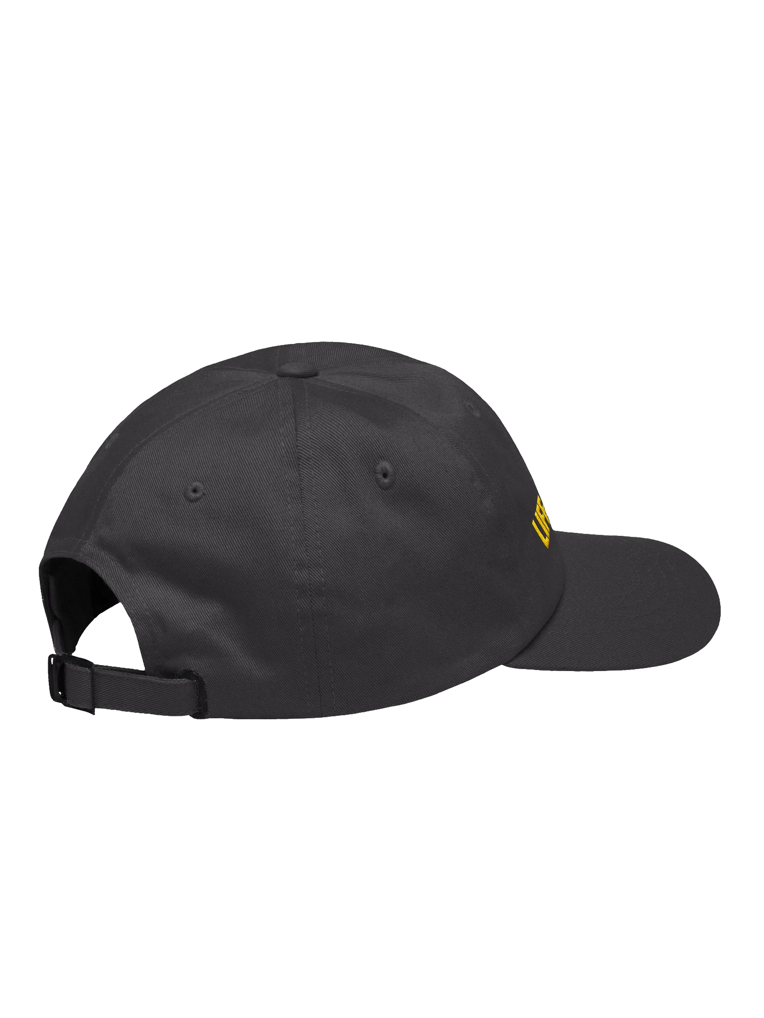 Life in LA Hat - Dark Grey product image (4)