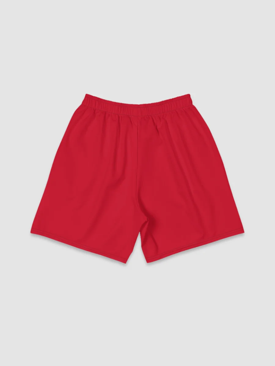 SS'23 Shorts - Red product image (2)