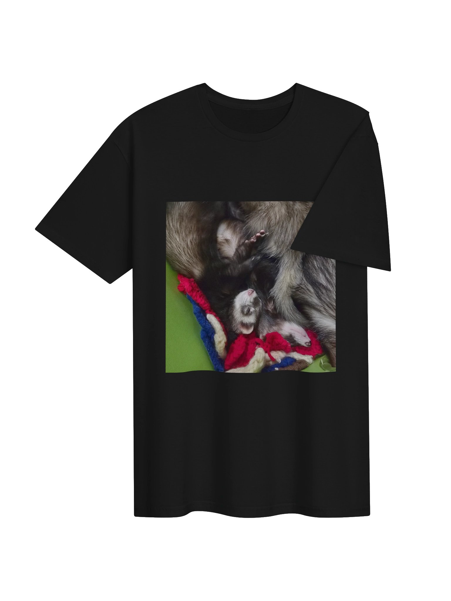 Sleepy Ferrets product image (144)