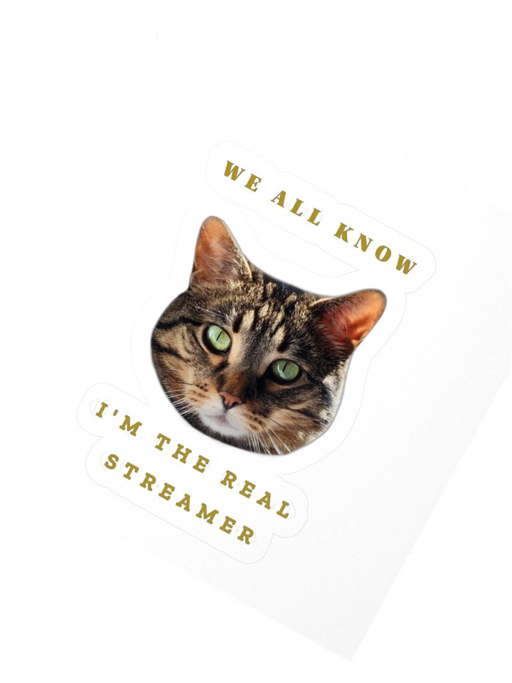 The Real Streamer Sticker product image (2)
