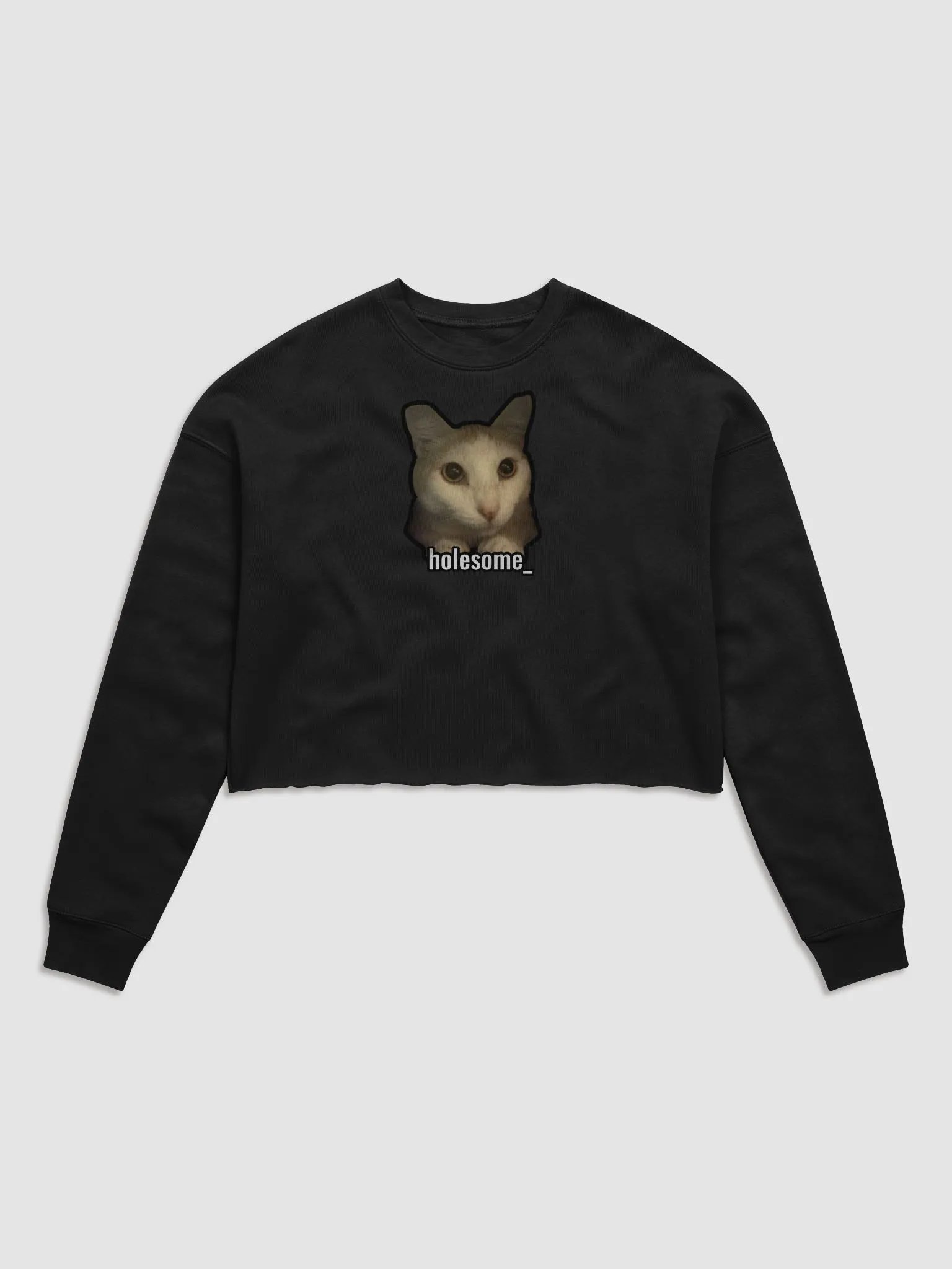 holesome Nico cropped sweatshirt product image (5)