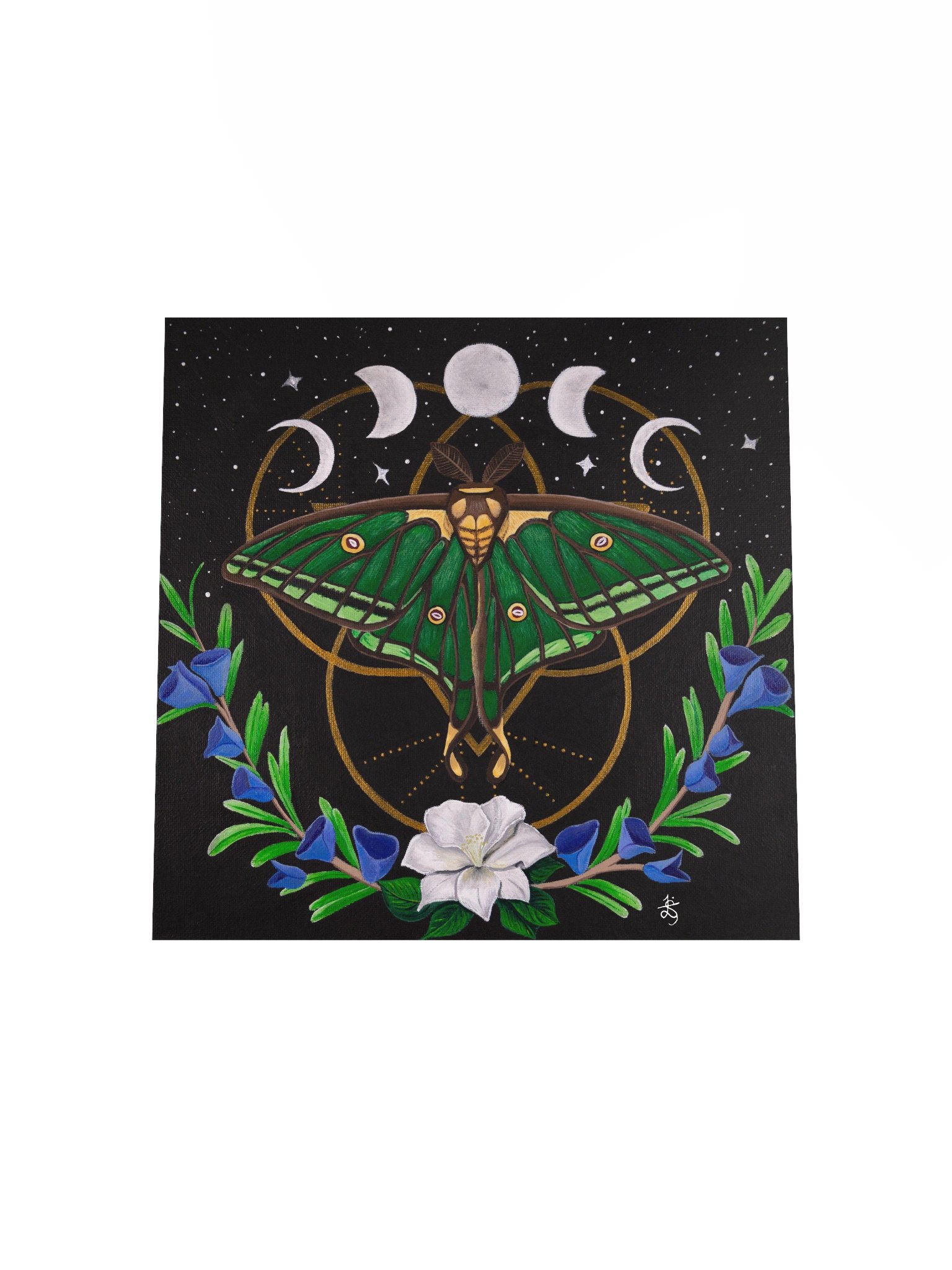Spanish Moon Moth Original Art Print product image (4)