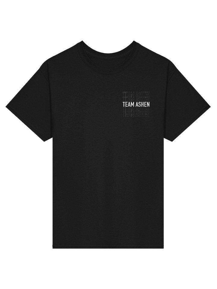 Team Ashen Embroidered Tee product image (1)