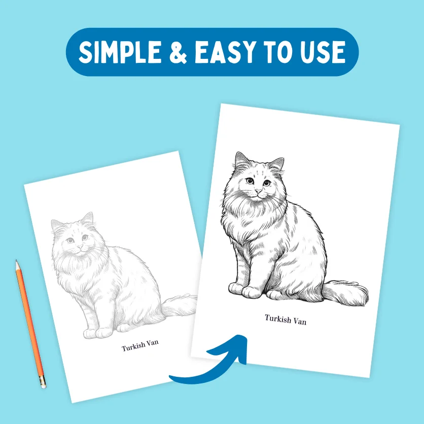 Sketch & Trace Bundle product image (3)