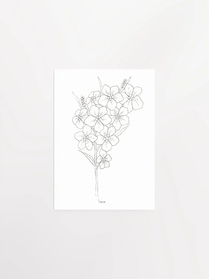 Forget-Me-Not Line Art Poster product image (1)