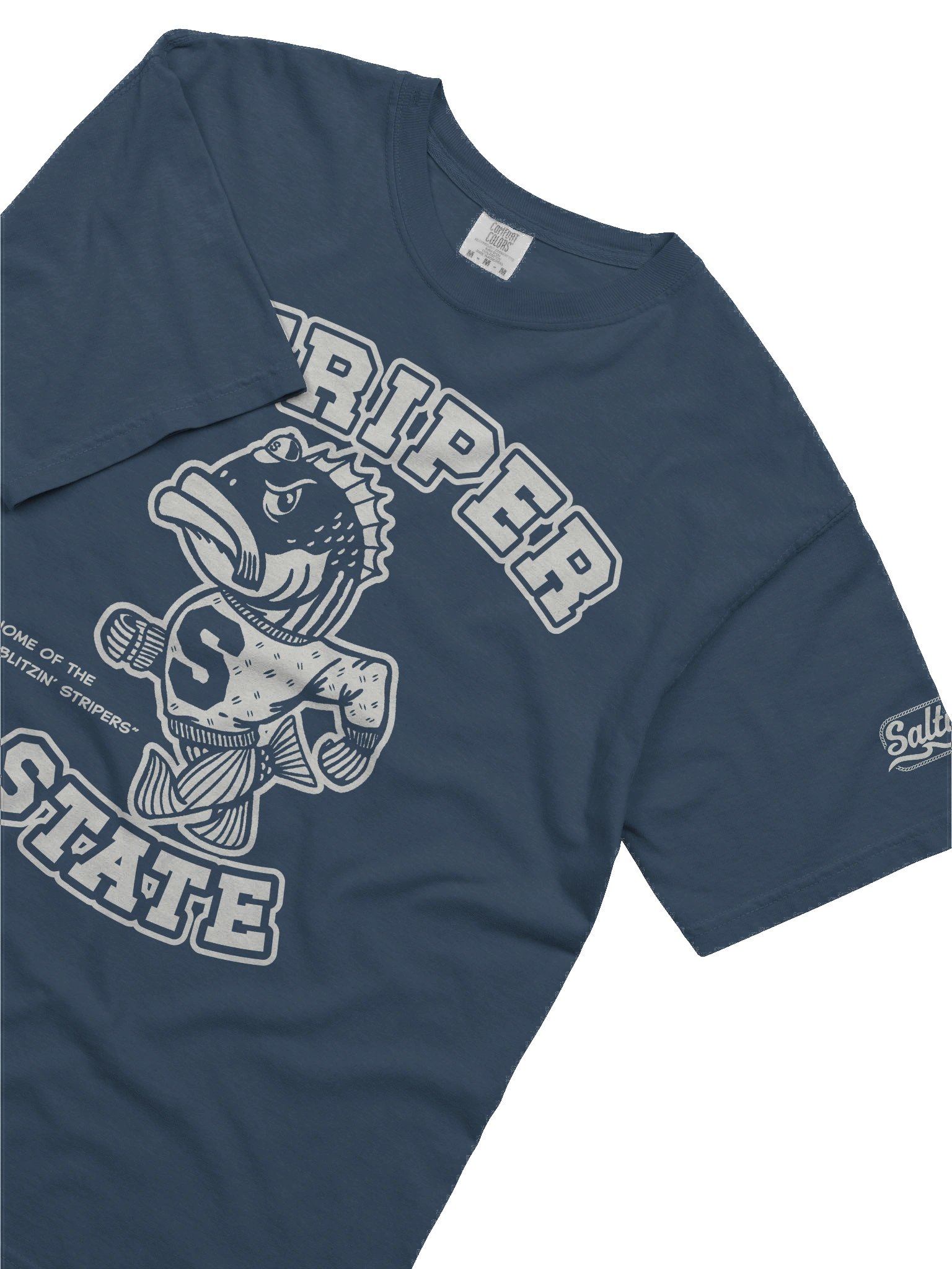 Striper State Tee product image (9)