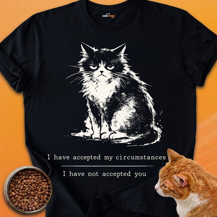 I Have Accepted product image (1)