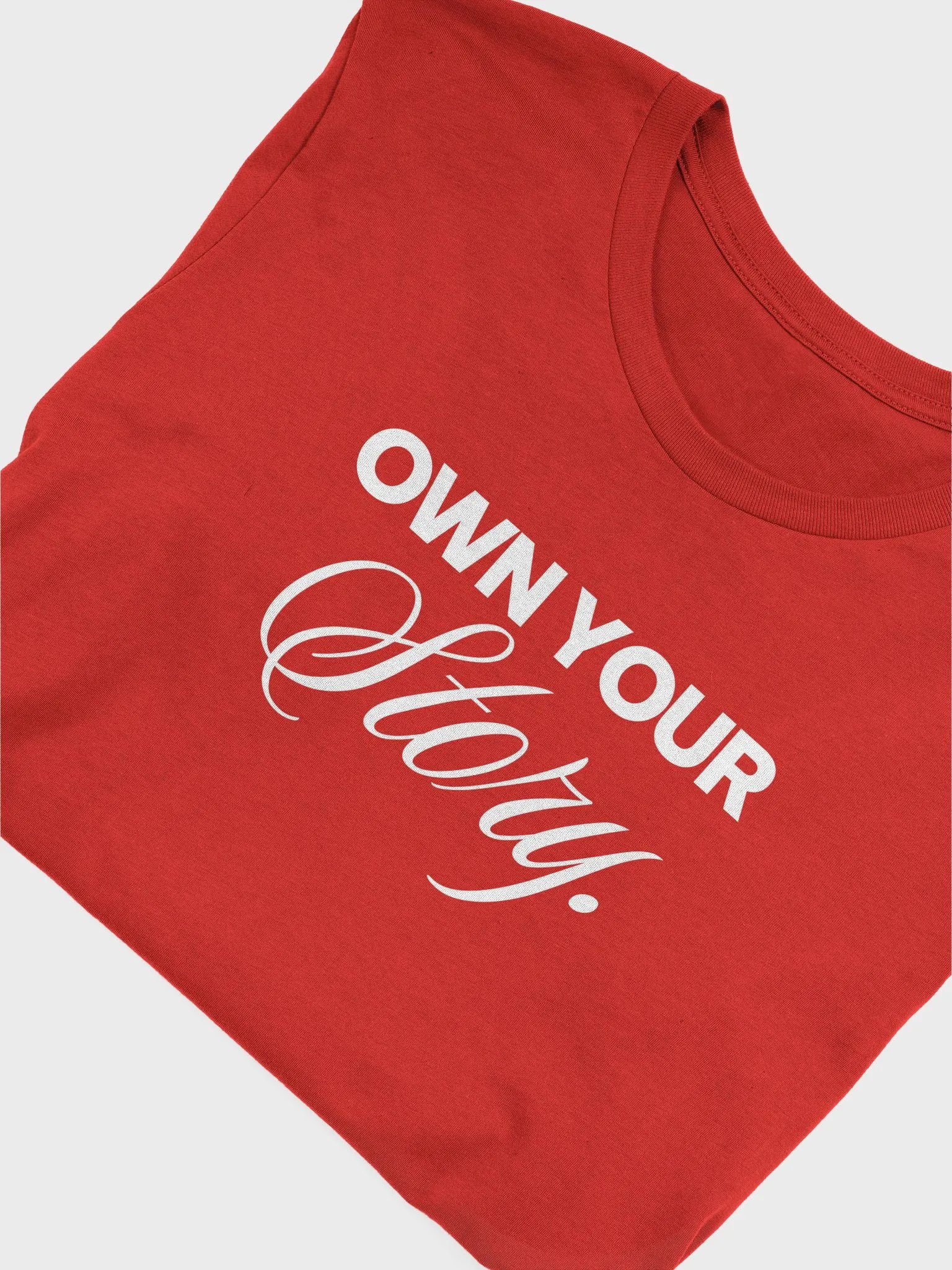 Own Your Story Tshirt product image (6)