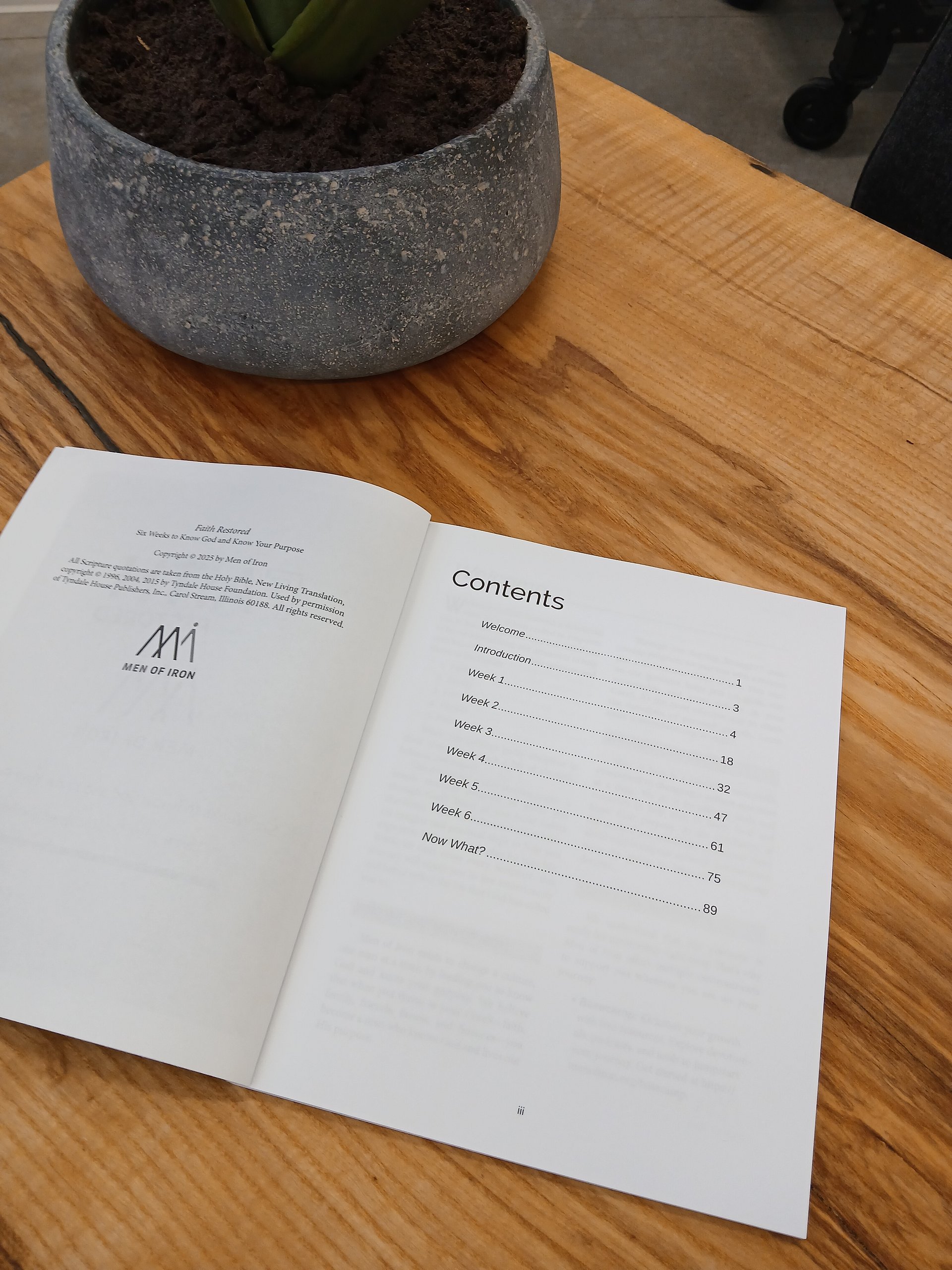 Faith Restored: A Six-Week Devotional to Know God and Know Your Purpose (Paperback Workbook) product image (2)