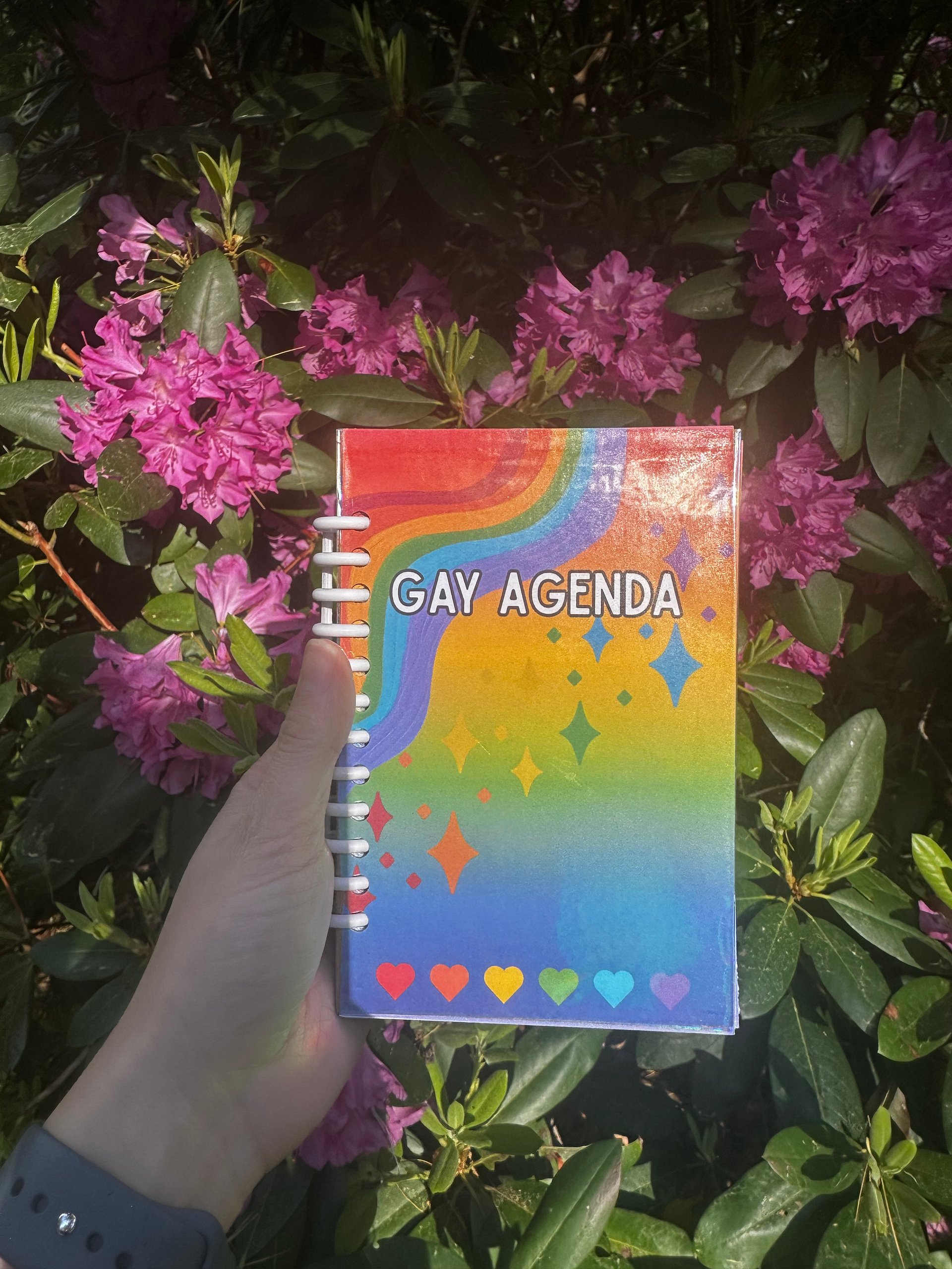 Gay Agenda Holographic Rainbow Pride Spiral Notebook product image (1)