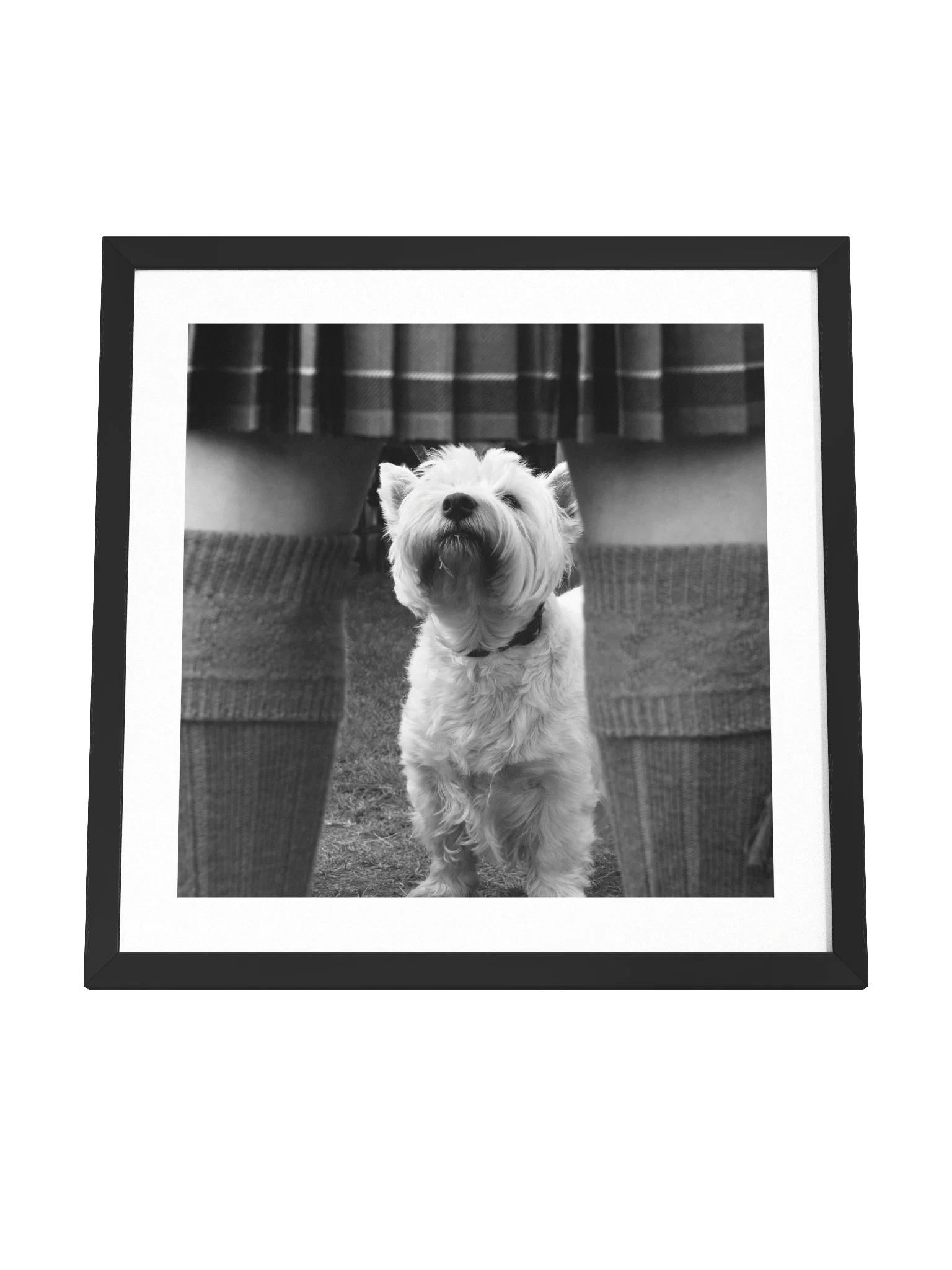 Wee Jock Print 2006 Lonach Games Scotland product image (4)