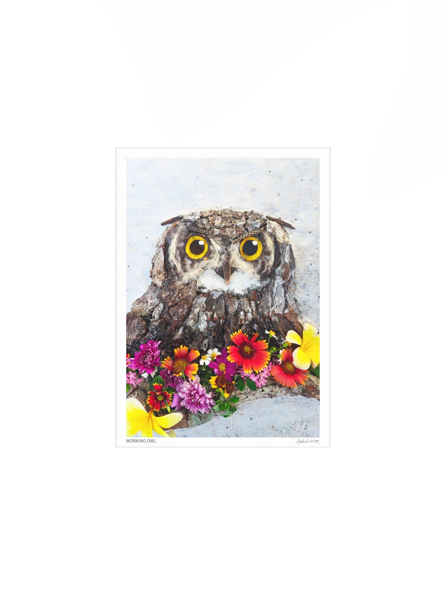 MORNING OWL | Fine Art Print product image (2)