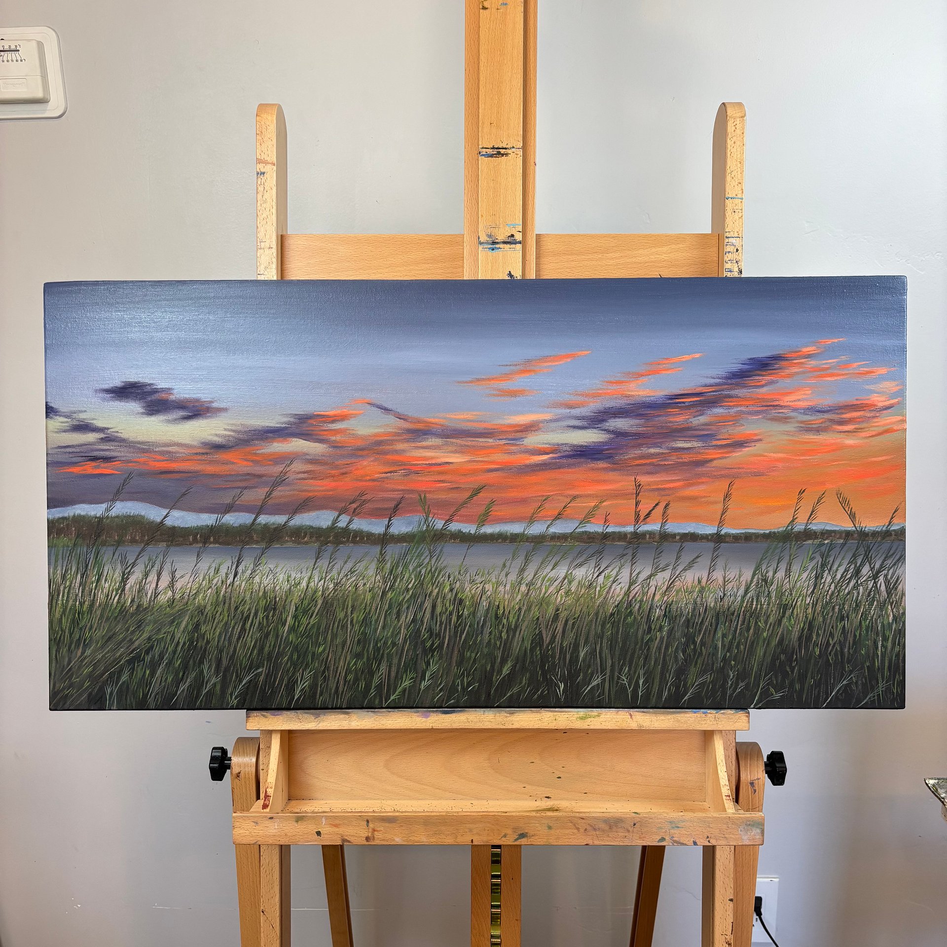 Dawn in the Wetlands product image (2)