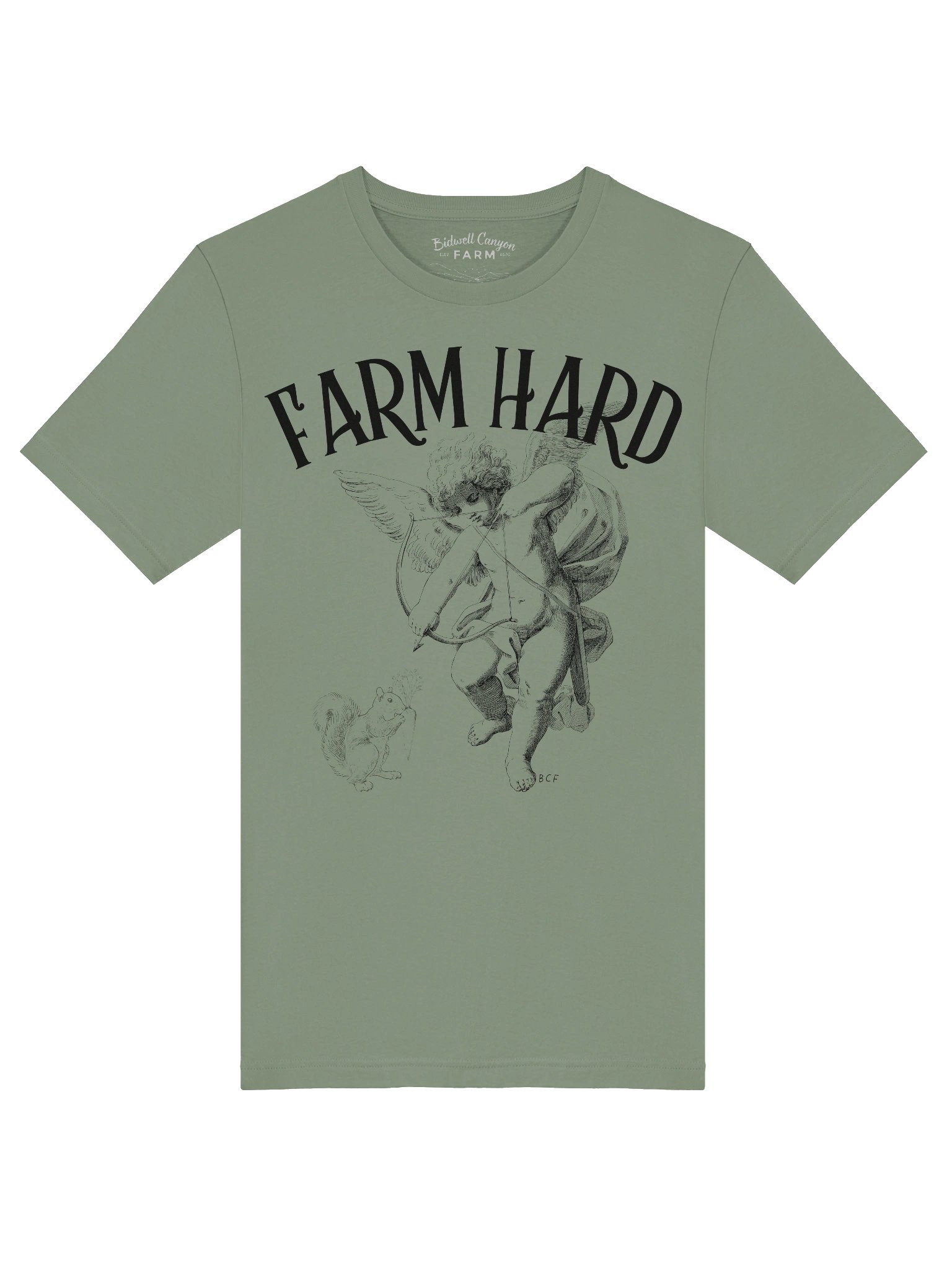 BCF Farm Hard Love Arrow Tee product image (5)