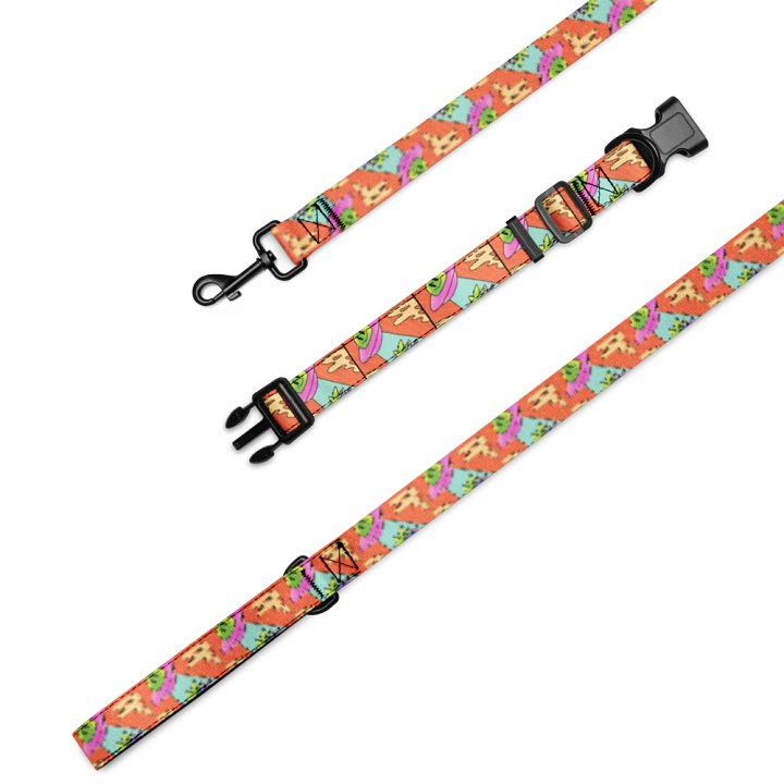 "High Flyer" Pet Collar & Leash Set product image (1)