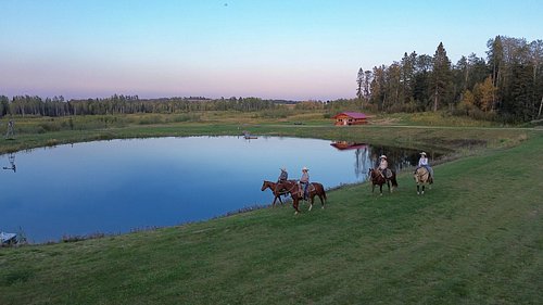 🐟🏡 The MOST Unique Fish Pond Experience at Bear Creek Cabins! 🌊
Right in the middle of the second loop at Bear Creek Cabins l...